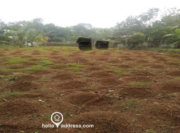 Plot inside