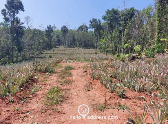 2 acre land for sale