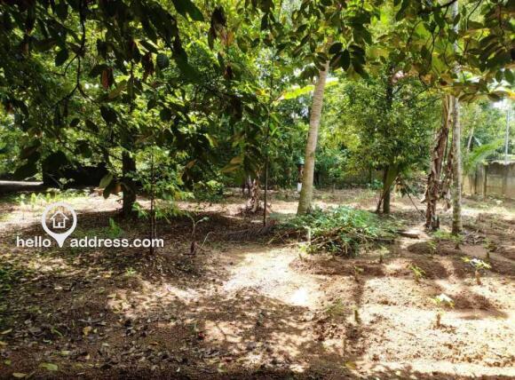 Inside the plot