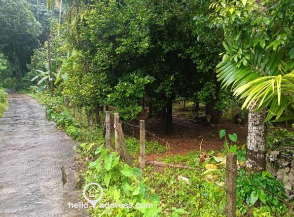 Agricultural Land for Sale