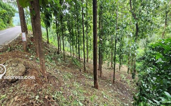 Residential Land for Sale