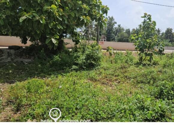 Residential Land for Sale