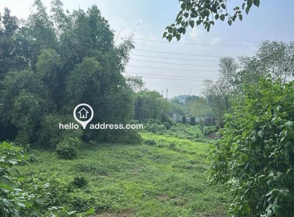 Commercial Land for Sale