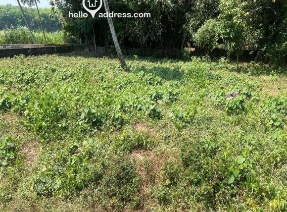 Residential Land for Sale