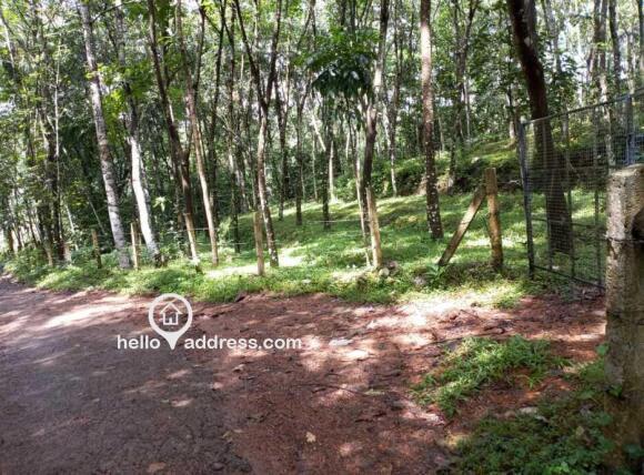 കൃഷി ഭൂമി വില്പനയ്ക്ക് 