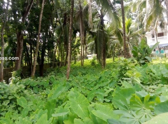 Commercial Land for Sale