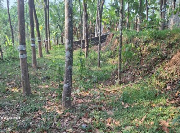Agricultural Land for Sale