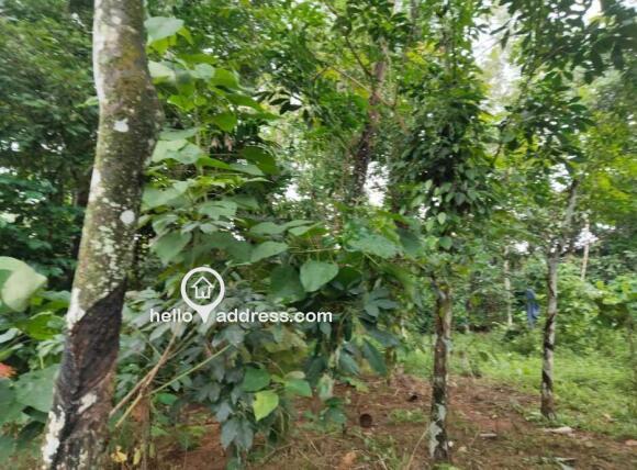 KOOTHATTUKULAM RESIDENTIAL LAND
