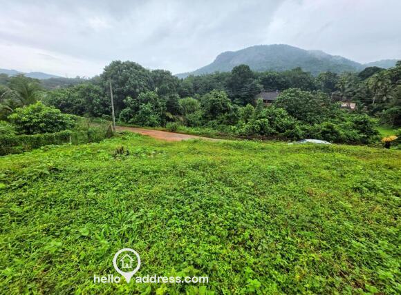 12 cent plot, road frontage , panoramic view , river view , Peaceful surroundings