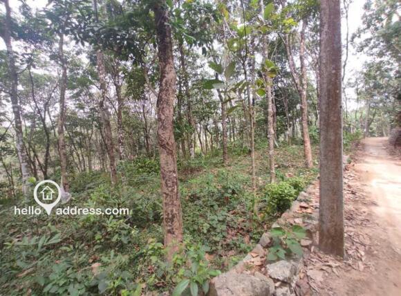 കൃഷി ഭൂമി വില്പനയ്ക്ക് 