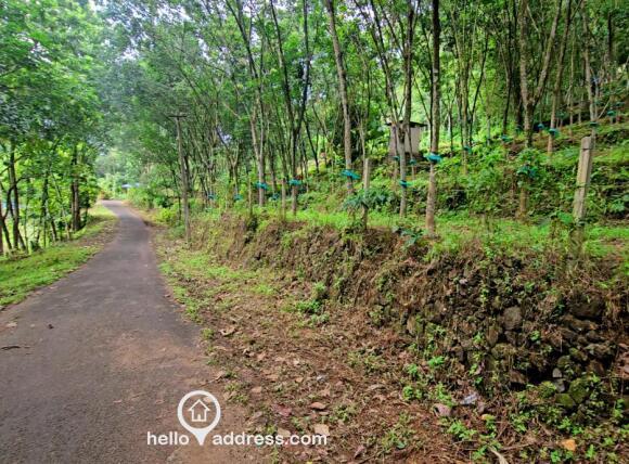 Agricultural Land for Sale