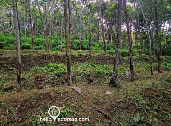 Residential Land for Sale