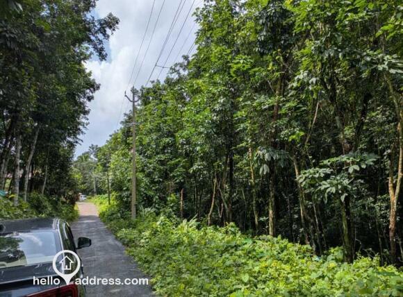 Agricultural Land for Sale
