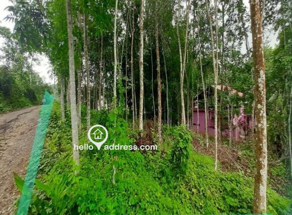Residential Land for Sale