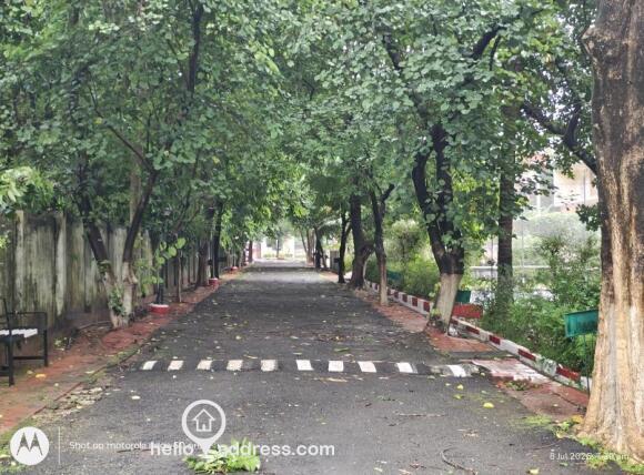 Walking path inside the campus