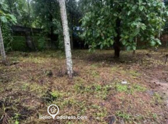 Proposed land