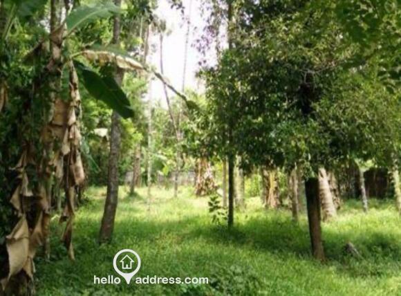 Commercial Land for Sale