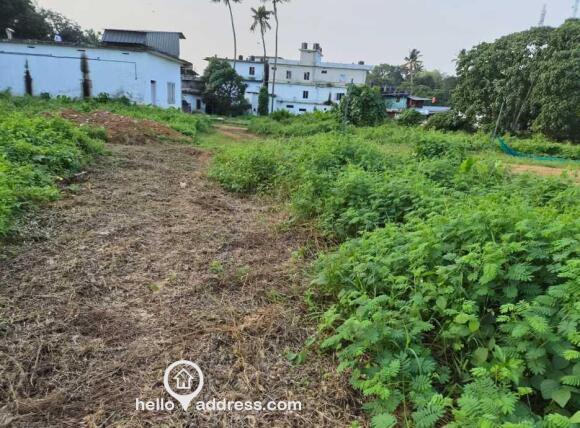 Access from Panchayath road