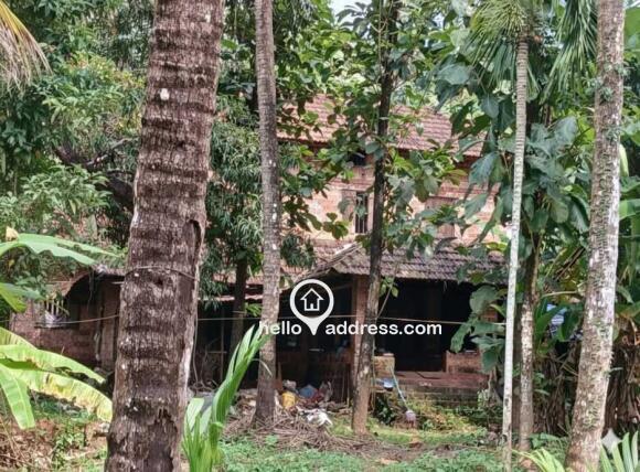 Residential House Villa for Sale