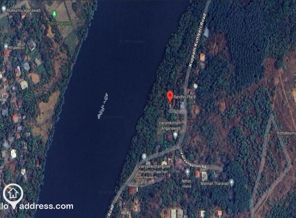 Ariel View