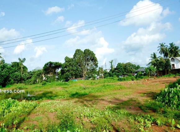 Commercial Land for Sale