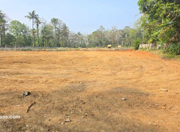 25 cent Dry Land For Sale