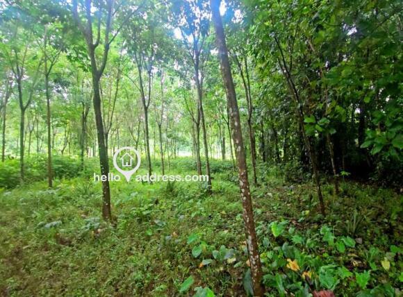 Residential Land for Sale