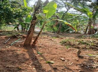 Residential Land for Sale in Kottayam, Kottayam town, Kanjikuzhy, manganam kurish