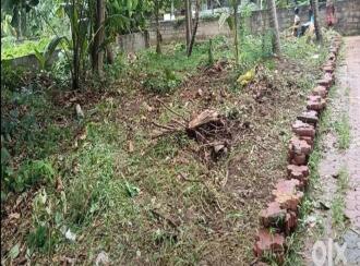 Residential Land for Sale in Trivandrum, Thiruvananthapuram, Kannanmmoola, Kannammoola, Koickal lane