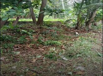 Residential Land for Sale in Trivandrum, Thiruvananthapuram, Kannanmmoola, Kannammoola, Koickal lane