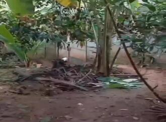 Residential Land for Sale in Trivandrum, Vizhinjam, Vizhinjam, Aruvikara