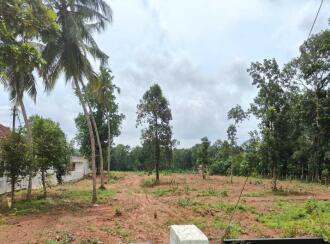 Residential Land for Sale in Alleppey, Alappuzha, Alappuzha, ചുനക്കര കോമല്ലൂർ
