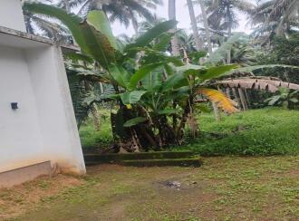 Residential Land for Sale in Thrissur, Guruvayur, Mattom, Chellor Kochikkaran road