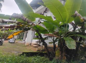 Residential Land for Sale in Thrissur, Guruvayur, Mattom, Chellor Kochikkaran road
