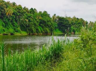 Residential Land for Sale in Thrissur, Chalakudy, Chalakkudy, chalakudy