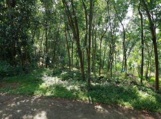 Agricultural Land for Sale in Kottayam, Kottayam town, Kottayam town, കൂരോപ്പട പഞ്ചായത്ത്
