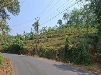 Agricultural Land for Sale