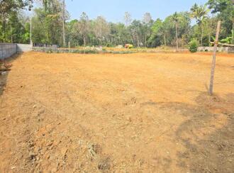 Residential Land for Sale in Ernakulam, Angamaly, Angamaly, ANGAMALY