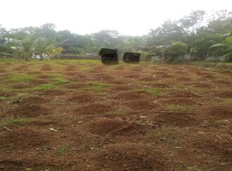 Residential Land for Sale in Kottayam, Changanassery, Thuruthy, https://maps.google.com/?q=9.493942,76.519447