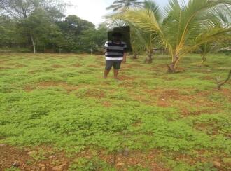 Residential Land for Sale in Kottayam, Changanassery, Thuruthy, https://maps.google.com/?q=9.493942,76.519447