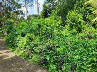 Residential Land for Sale in Pathanamthitta, Mallappally, Nedungadappally