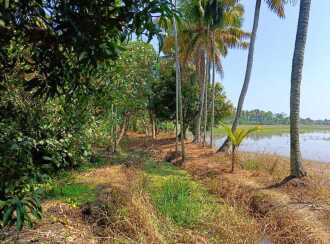 Residential Land for Sale in Kottayam, Kumarakom, Pallichira, Cheepunkal