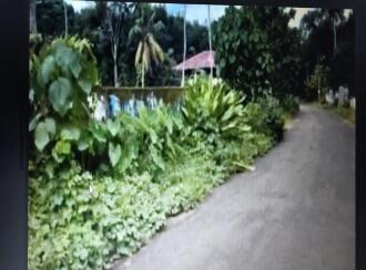 Residential Land for Sale in Kottayam, Kottayam town, Kottayam town, Vempelly