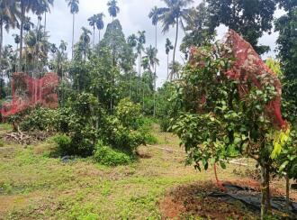 Residential Land for Sale in Thrissur, Chalakudy, Kanakamala
