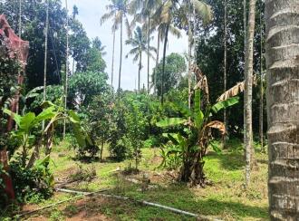 Residential Land for Sale in Thrissur, Chalakudy, Kanakamala