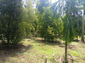 Residential Land for Sale in Thrissur, Chalakudy, Kanakamala