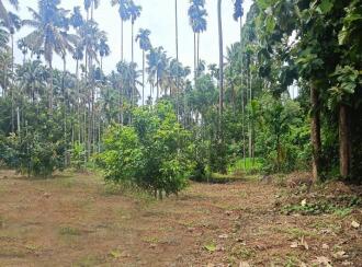Residential Land for Sale in Thrissur, Chalakudy, Kanakamala