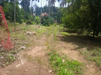 Residential Land for Sale in Thrissur, Chalakudy, Kanakamala