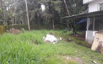 Commercial Land for Sale in Ernakulam, Kothamangalam, Kothamangalam town, Sophia Road