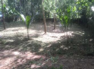 Residential Land for Sale in Trivandrum, Kazhakoottam, Kazhakkoottam
